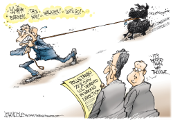 BUSH AND THE POLLS   by John Cole