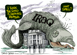 STINKY IRAQ FISH by Daryl Cagle