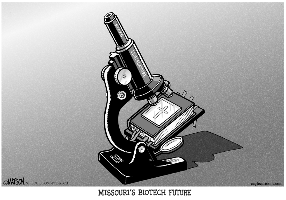  LOCAL MO-STEM CELL RESTRICTIONS by RJ Matson