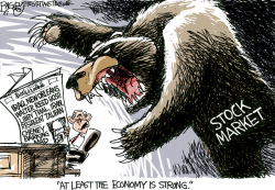 BEAR MARKET by Pat Bagley