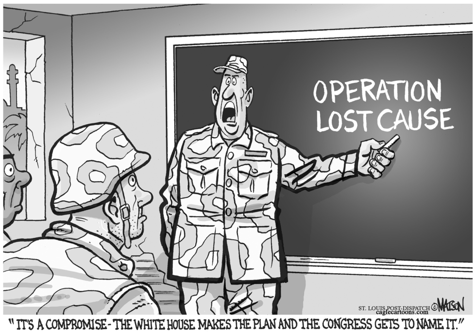  OPERATION LOST CAUSE by RJ Matson