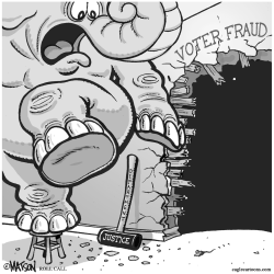 WHO'S AFRAID OF VOTER FRAUD by RJ Matson