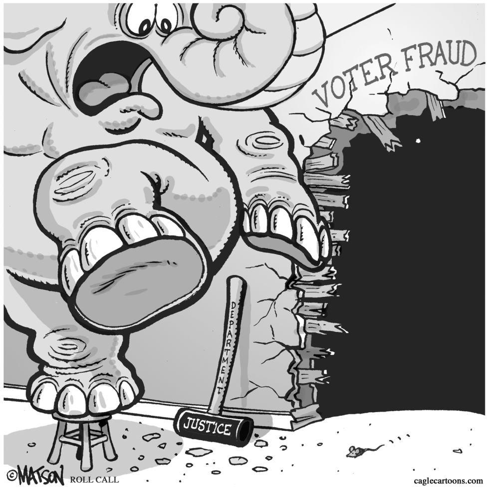  WHO'S AFRAID OF VOTER FRAUD by RJ Matson