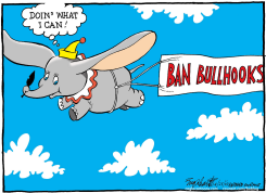 BULLHOOKS by Bob Englehart