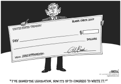 BLANK CHECK 2007 by RJ Matson