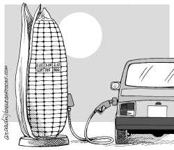 DEL MAíZ EL COMBUSTIBLE by Arcadio Esquivel