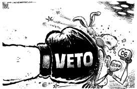 TAKING THE VETO PUNCH by Mike Lane