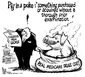 MEDICARE BOONDOGGLE by Mike Lane