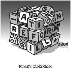 RUBIK'S CONGRESS by RJ Matson