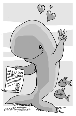 AMAR A LAS BALLENAS by Arcadio Esquivel