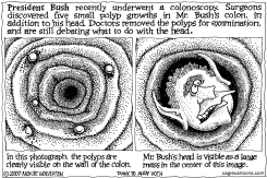 THE PRESIDENTIAL COLON by Wolverton