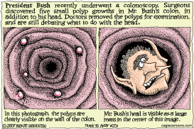 THE PRESIDENTIAL COLON  by Wolverton