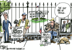 FLAT BUSH  by Pat Bagley