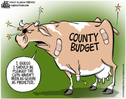 LOCAL FL BUDGET COW by Parker