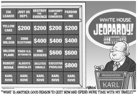 ROVE OUT OF JEOPARDY by RJ Matson