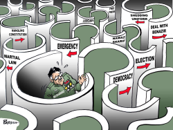 GENERAL MUSHARRAF IN LABYRINTH by Paresh Nath