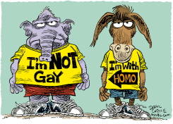 NOT GAY  by Daryl Cagle