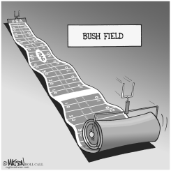 BUSH FIELD by RJ Matson