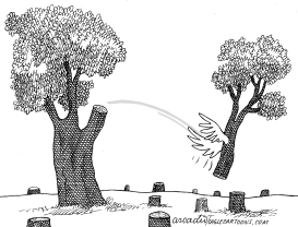 DE UNA RAMA UN áRBOL by Arcadio Esquivel