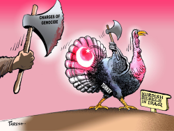 TURKEY'S ADVENTURE by Paresh Nath