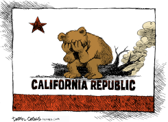 CALIFORNIA FIRE BEAR GRIEVES  by Daryl Cagle