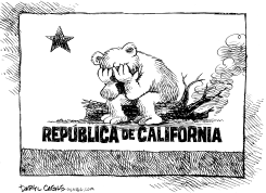 OSO BOMBERO DE CALIFORNIA AFLIGIDO by Daryl Cagle