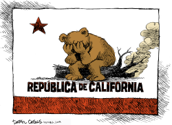 OSO BOMBERO DE CALIFORNIA AFLIGIDO  by Daryl Cagle