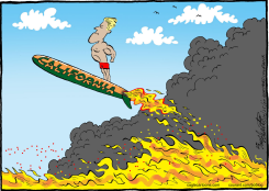 INCENDIOS ARRASADORES EN CALIFORNIA  by Bob Englehart