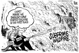 SUBPRIME WILDFIRE by Mike Lane