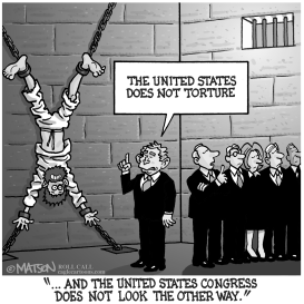 U.S. TORTURE POLICY by RJ Matson