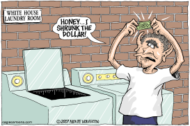 HONEY I SHRUNK THE DOLLAR by Wolverton