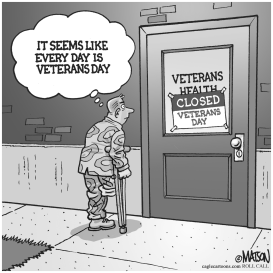 VETERANS HEALTH CARE by RJ Matson