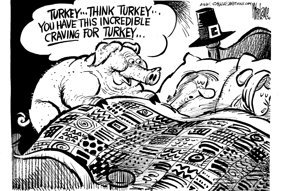  THINK TURKEY by Mike Lane