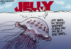 JELLYFISH by Pat Bagley