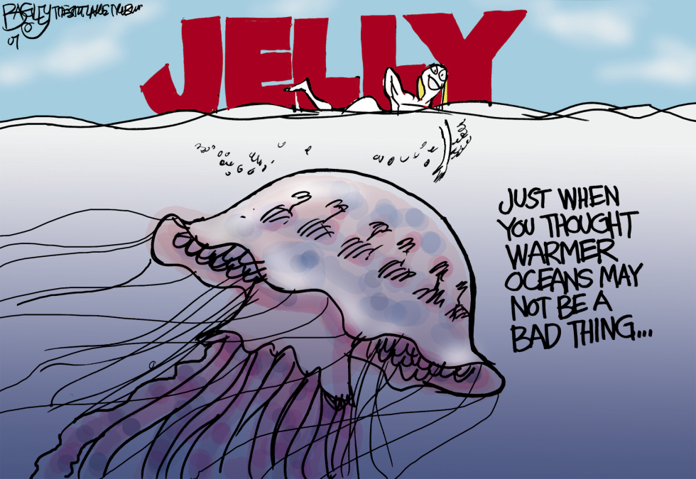  JELLYFISH by Pat Bagley