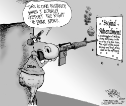 DEMS TARGET  2ND AMENDMENT by Gary McCoy