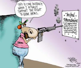 DEMS TARGET 2ND AMENDMENT by Gary McCoy