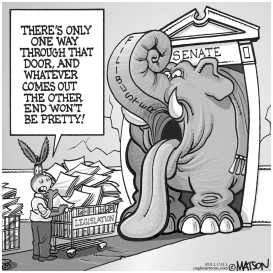 THE ELEPHANT IN THE ROOM by RJ Matson