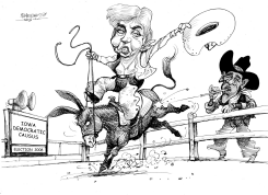 DEMOCRATIC RODEO by Petar Pismestrovic