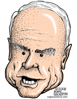 JOHN MCCAIN by Wolverton