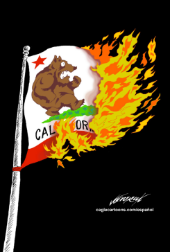 CALIFORNIA IN FLAMES by Antonio Neri Licón