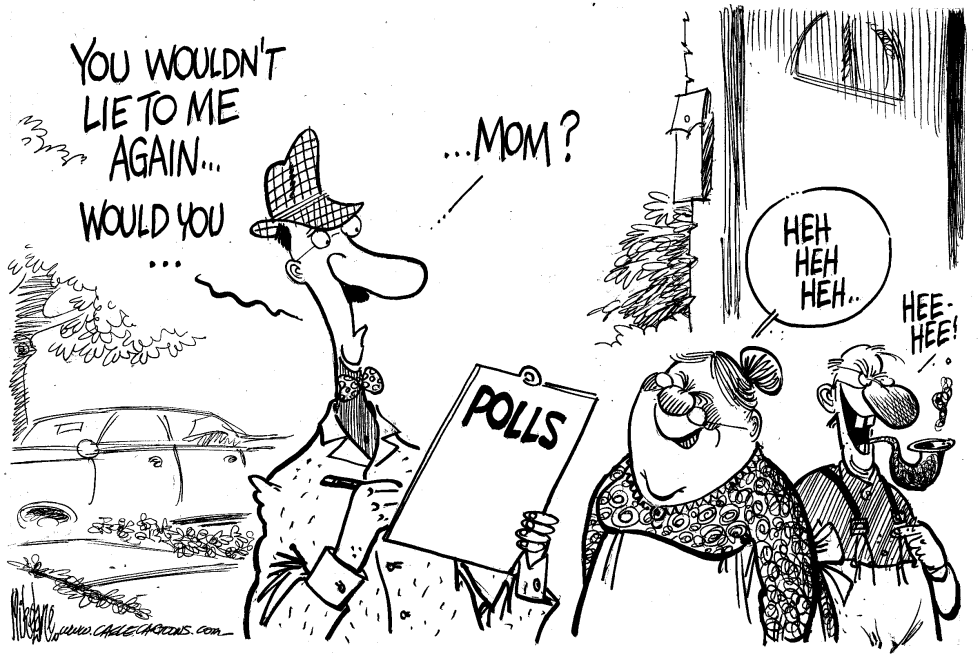  POLLSTER MOM by Mike Lane