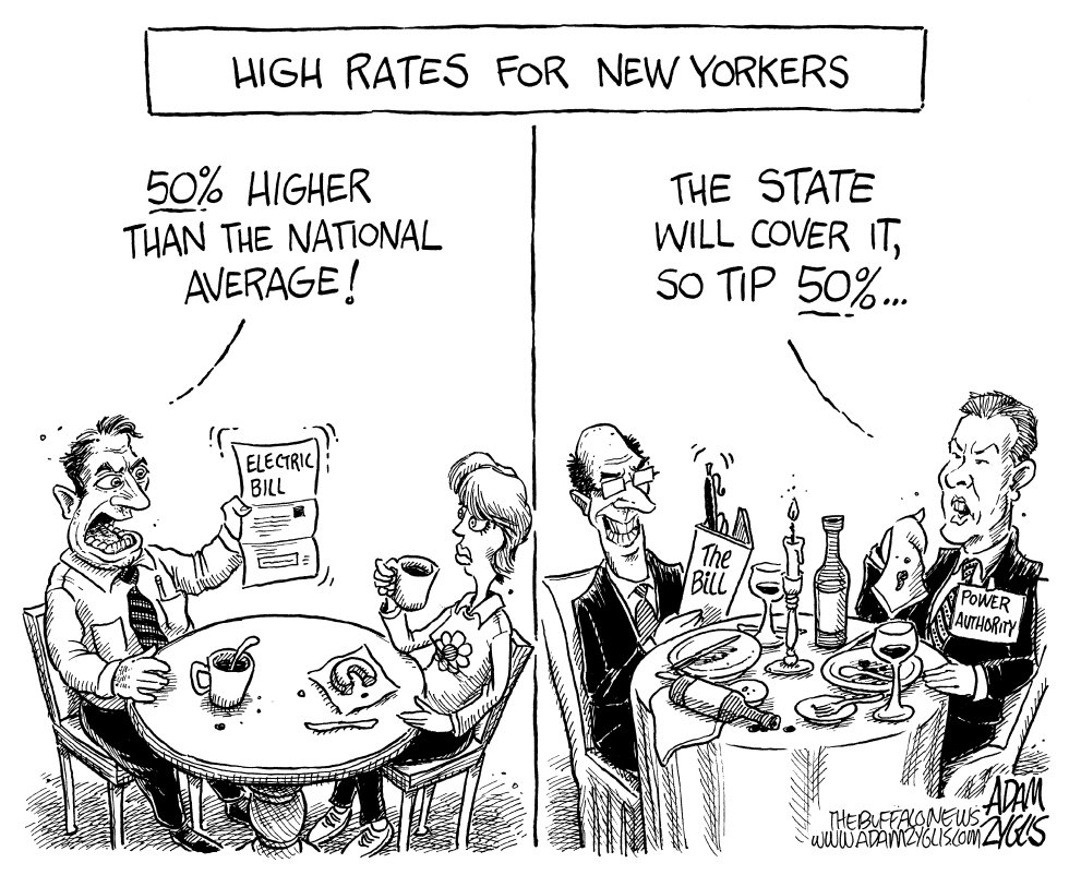  LOCAL NY STATE ELECTRIC BILL by Adam Zyglis