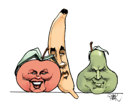 HILLARY, OBAMA AND MCCAIN AS FRUITS by Riber Hansson