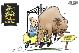 MCCAIN BULL TALE by John Cole