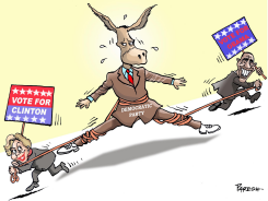 DEMOCRATIC DILEMMA by Paresh Nath