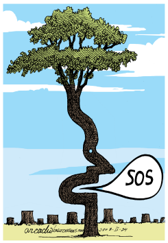 EL áRBOL SUPLICACOL by Arcadio Esquivel