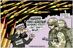 ISRAELI AGGRESSION by Wolverton