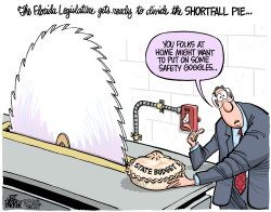 LOCAL FL SHORTFALL PIE by Parker