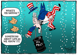 PRICE OF OIL  by Bob Englehart